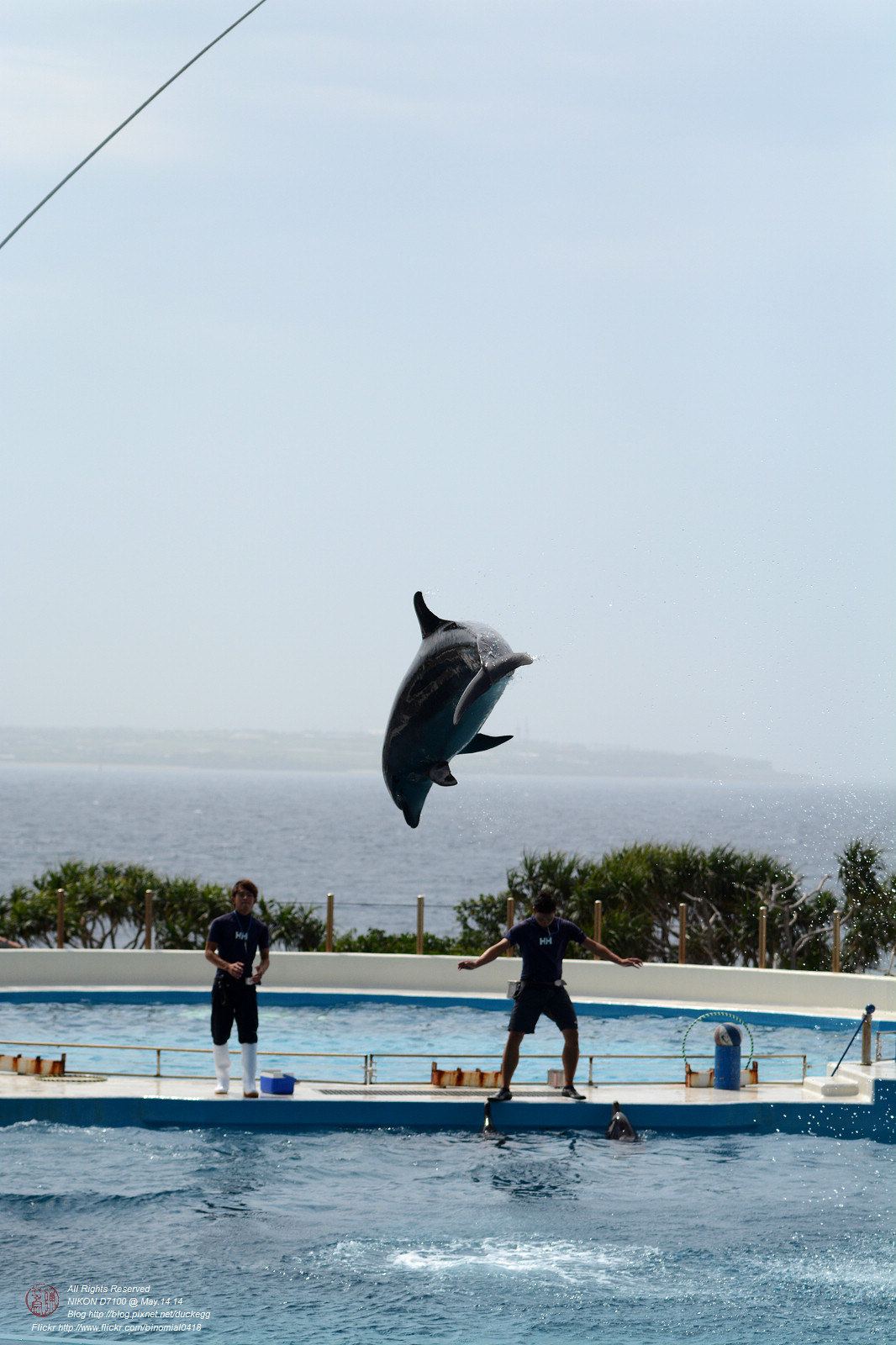 DSC_3074.jpg